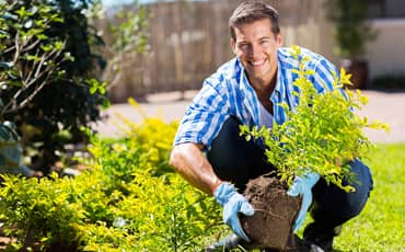 Garden man planting 