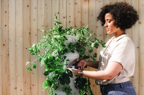 Garden woman holding a plant