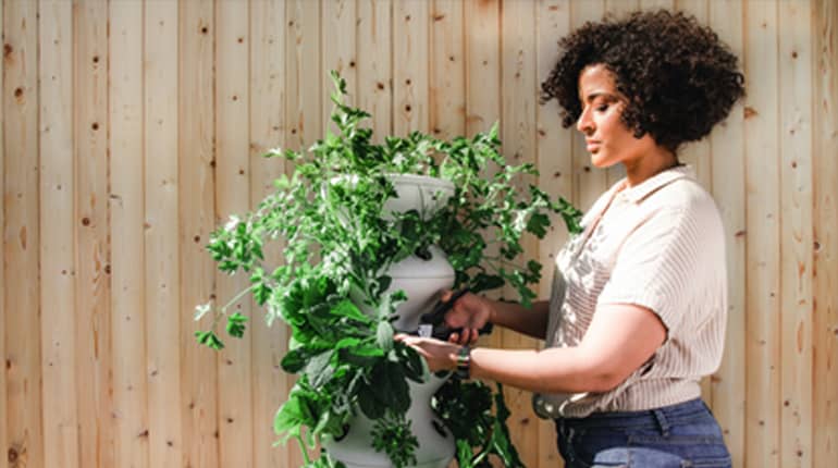 Garden woman holding a plant